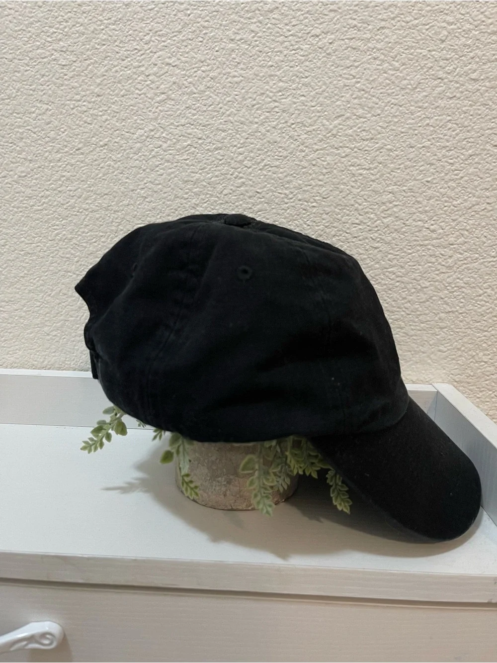 The North Face Baseball Hat